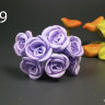 14301_29my.jpg