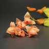 14301_43av.jpg