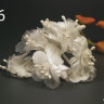 14301_46y8.jpg